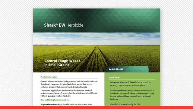 Shark® EW Herbicide Small Grains Fact Sheet