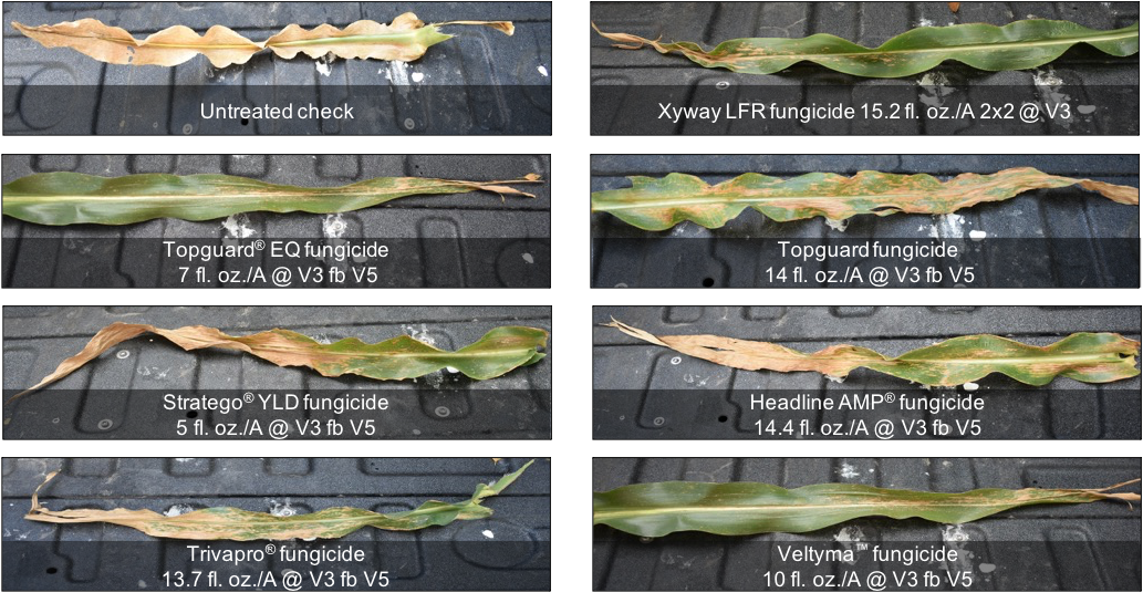 2020 FMC Internal Trial Results