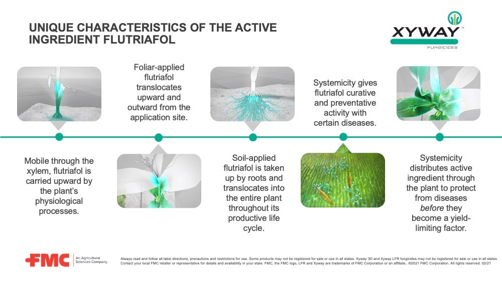 Unique characteristics of flutriafol 