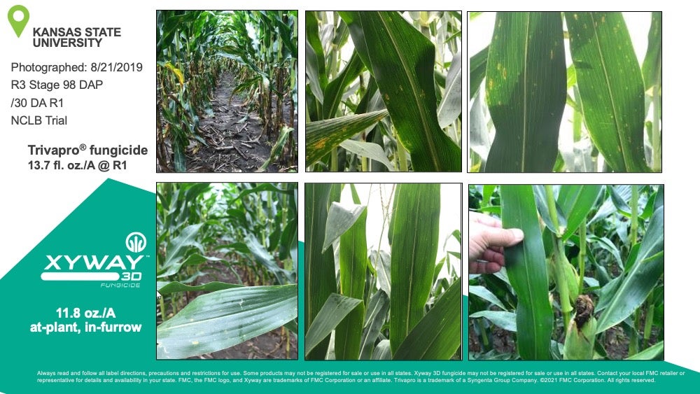 Xyway 3D Fungicide vs Trivapro Fungicide