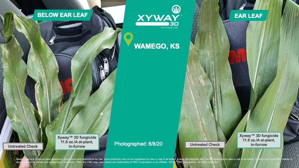 Xyway 3D Fungicide vs Untreated Ear Leaf, Ag Partners, Wamego, KS