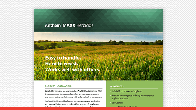 Anthem® MAXX Herbicide Fact Sheet