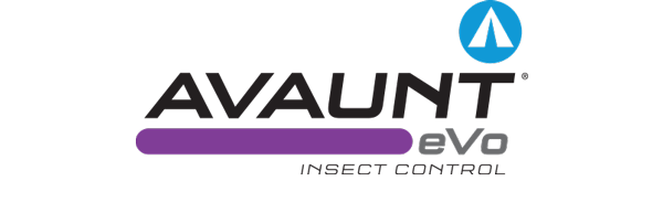 Avaunt® eVo logo