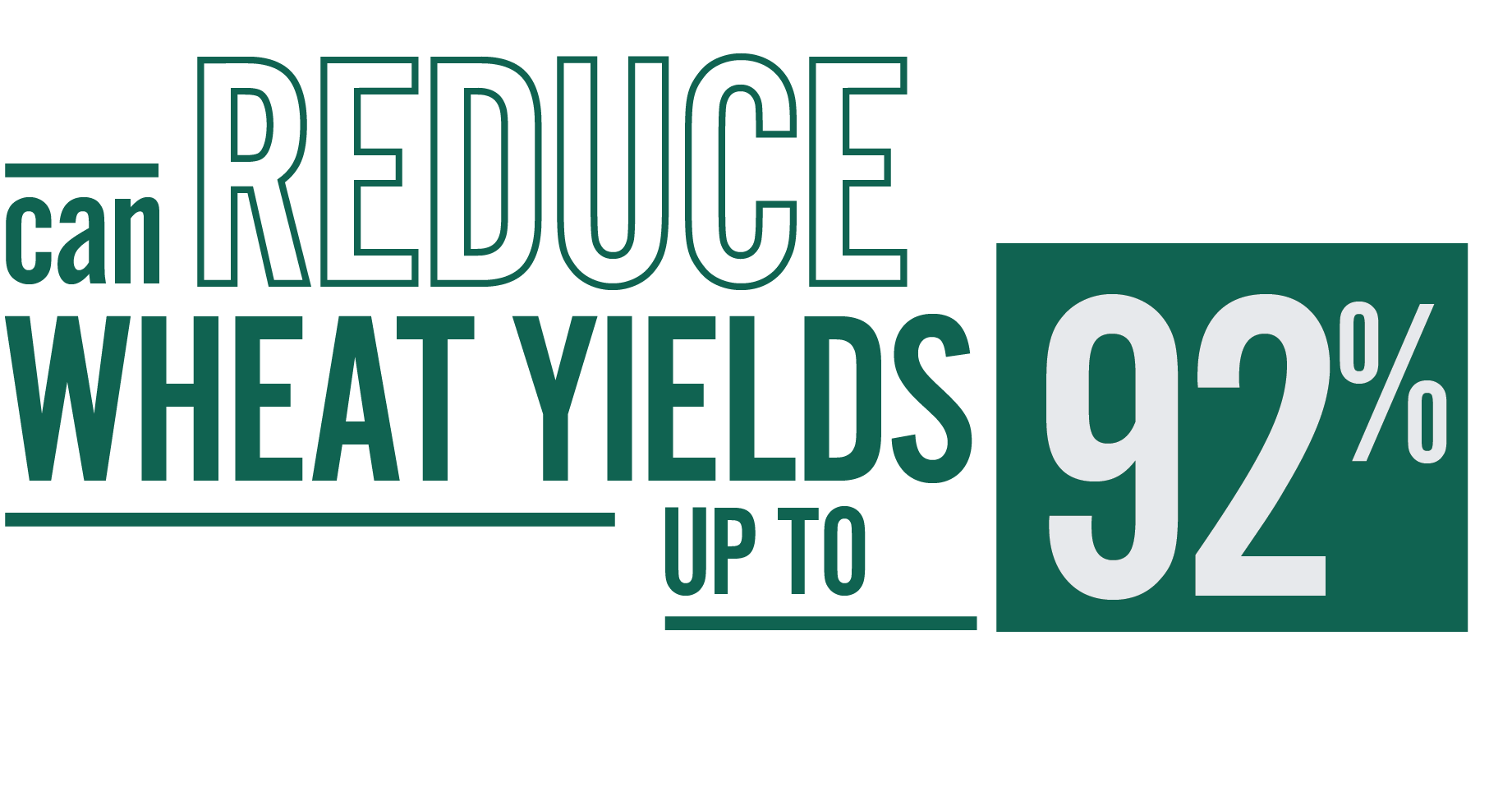 Can reduce wheat yields up to 92%