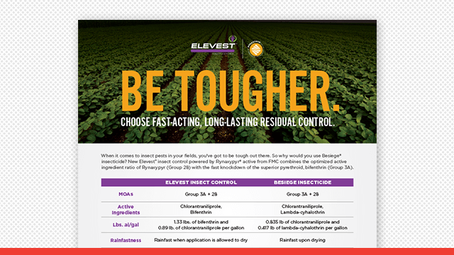 Elevest™ Insect Control vs. Besiege® Insecticide