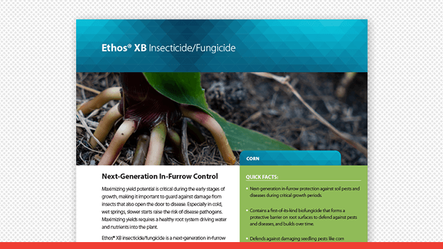 Ethos® XB Insecticide/Fungicide Fact Sheet