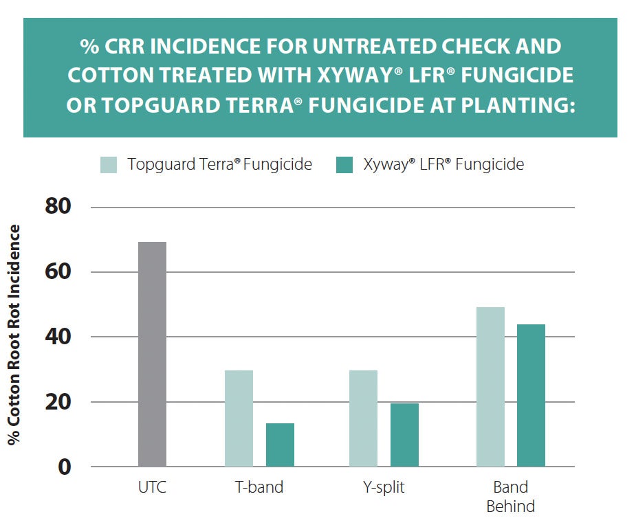 Percent CRR incidence for untreated check and cotton treated with Xyway® LFR® Fungicide or Topguard Terra® Fungicide at planting