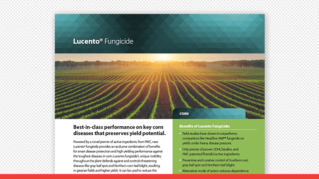 Lucento® Fungicide Corn Fact Sheet