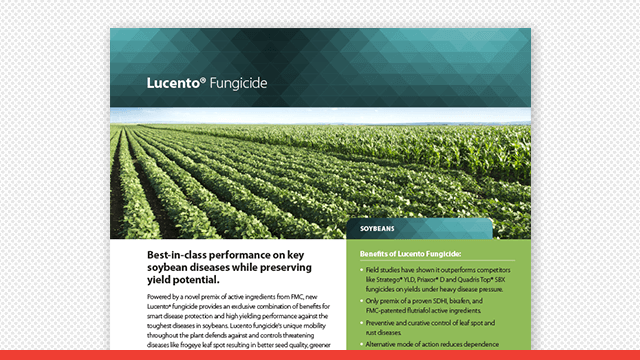 Lucento® Fungicide Soybean Fact Sheet