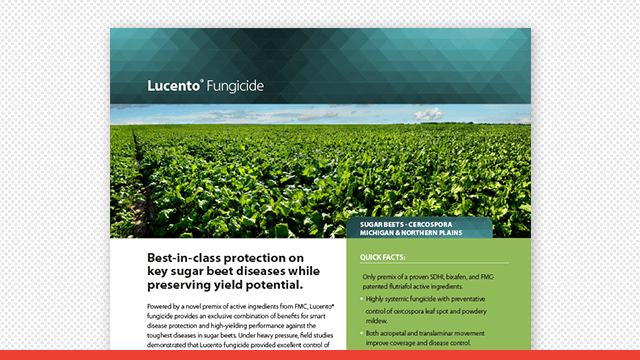 Lucento® Fungicide Sugar Beet Cercospora & Powdery Mildew Fact Sheet