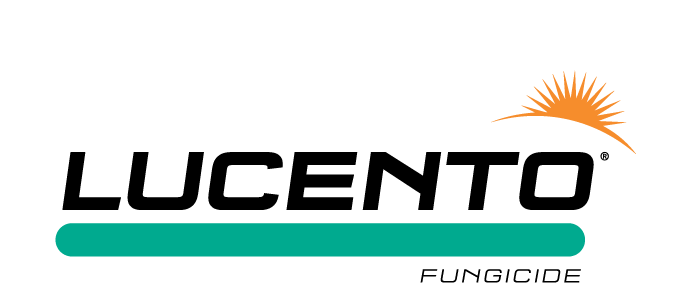 Lucento Fungicide