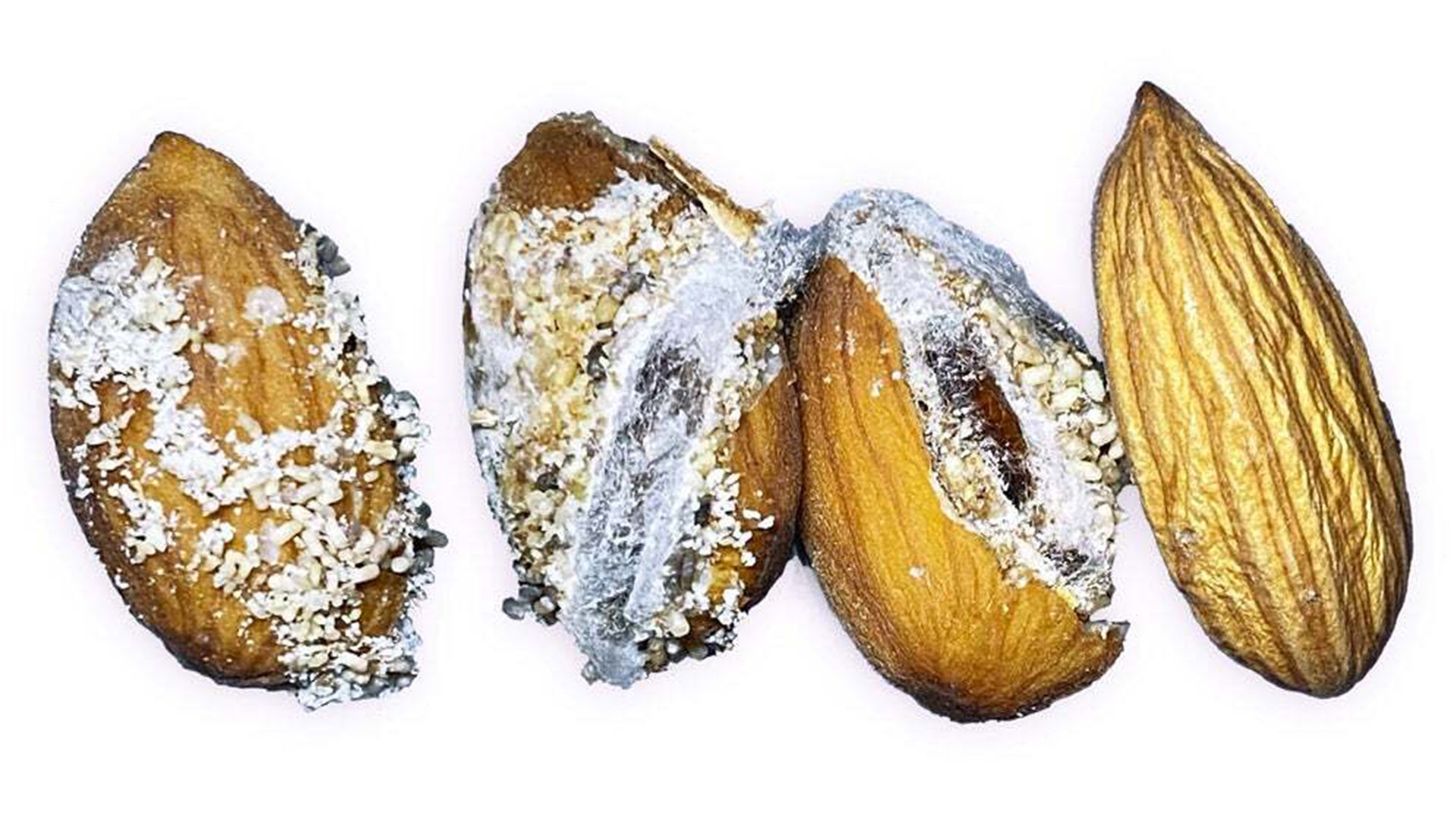 Impacts of navel orangeworm