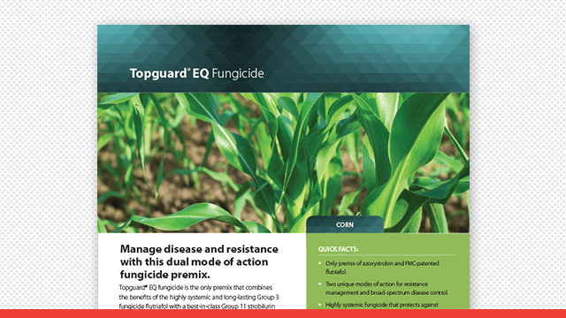 Topguard® EQ Fungicide Corn Fact Sheet