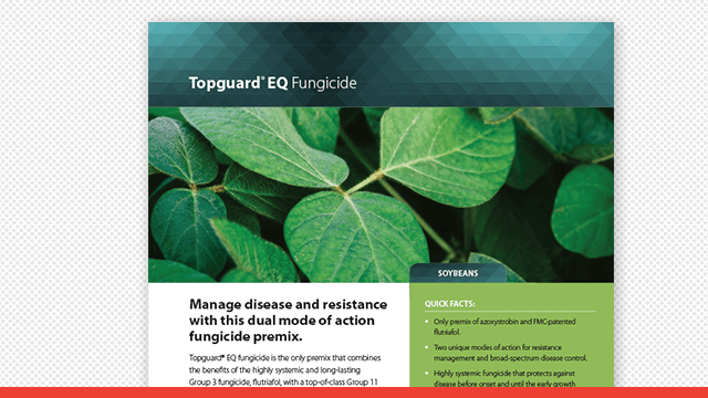 Topguard® EQ Fungicide Soybean Fact Sheet