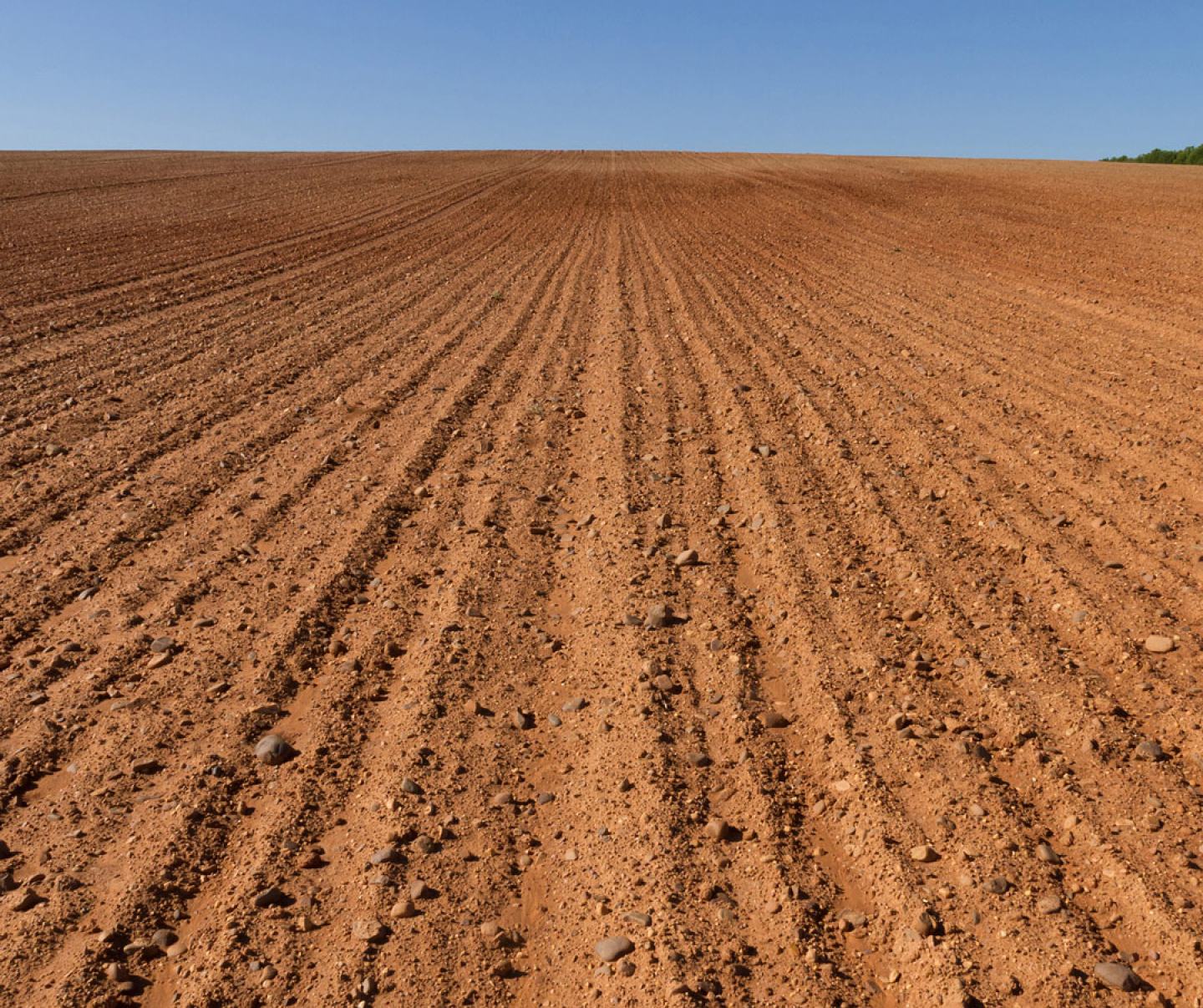 Image of fallow field