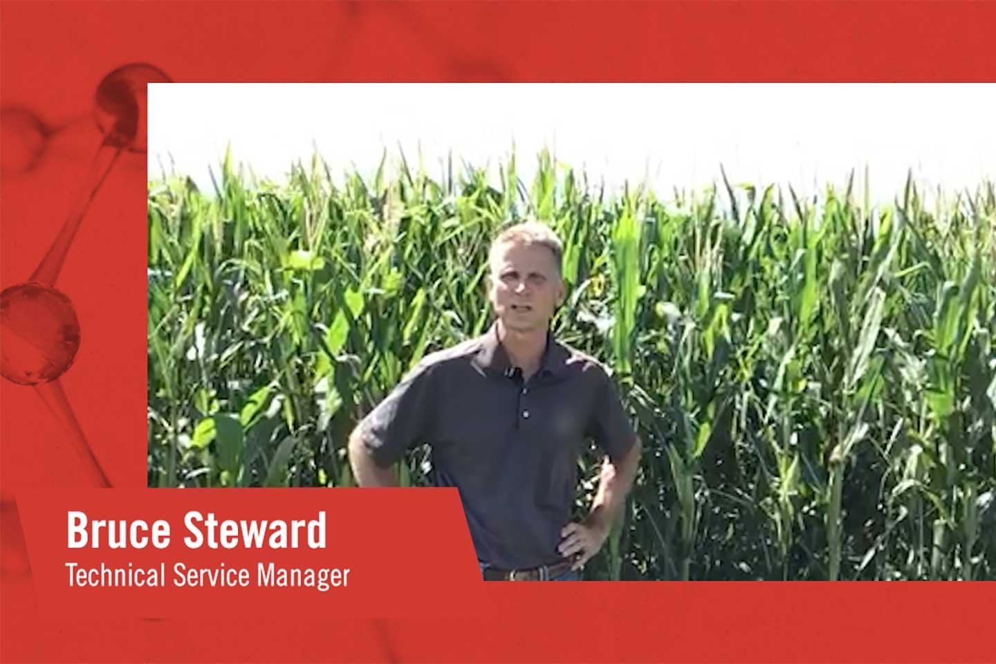 FMC Tech Talk Corn Rootworm Control Insecticide