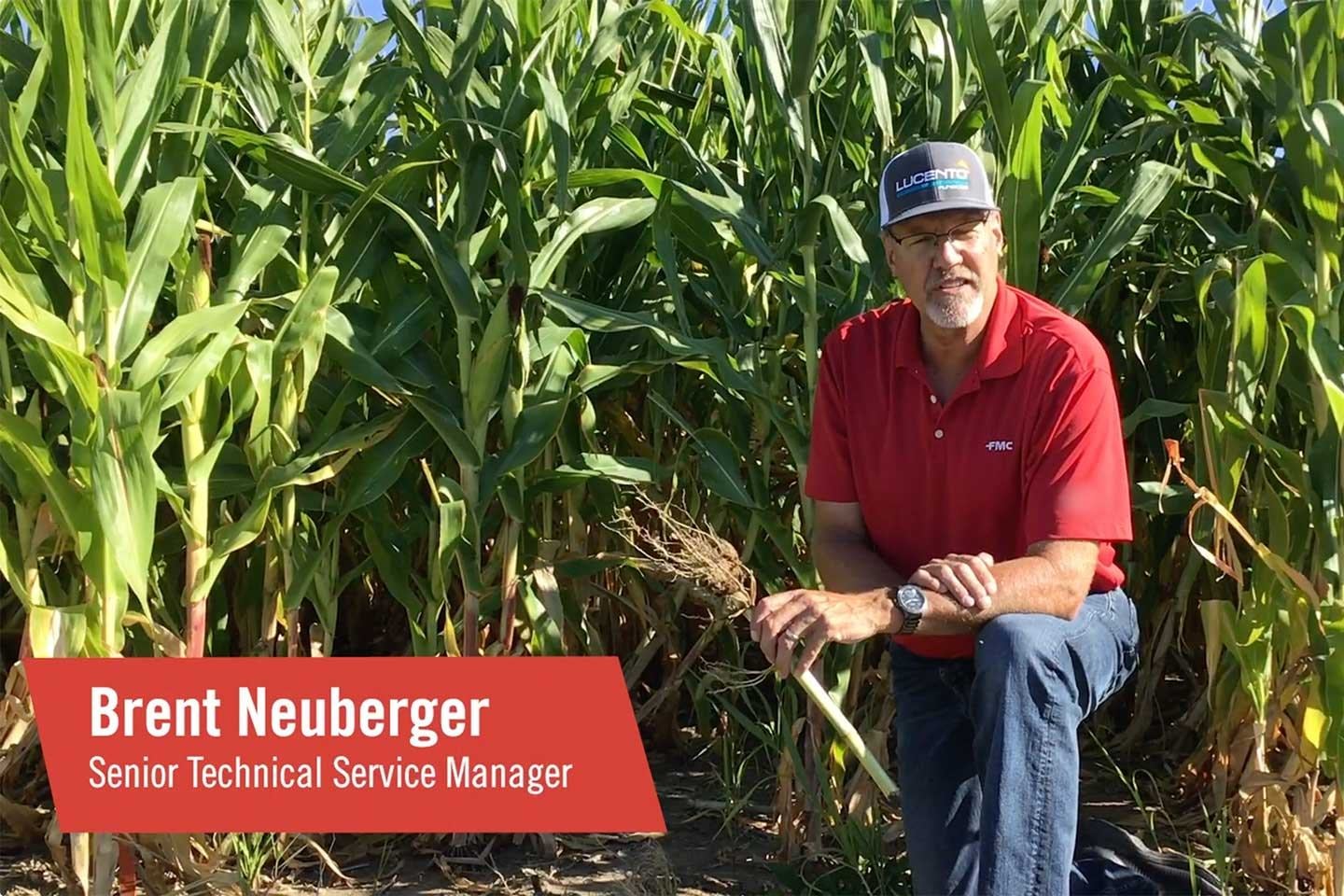 Brent Neuberger Steward EC Corn Rootworm