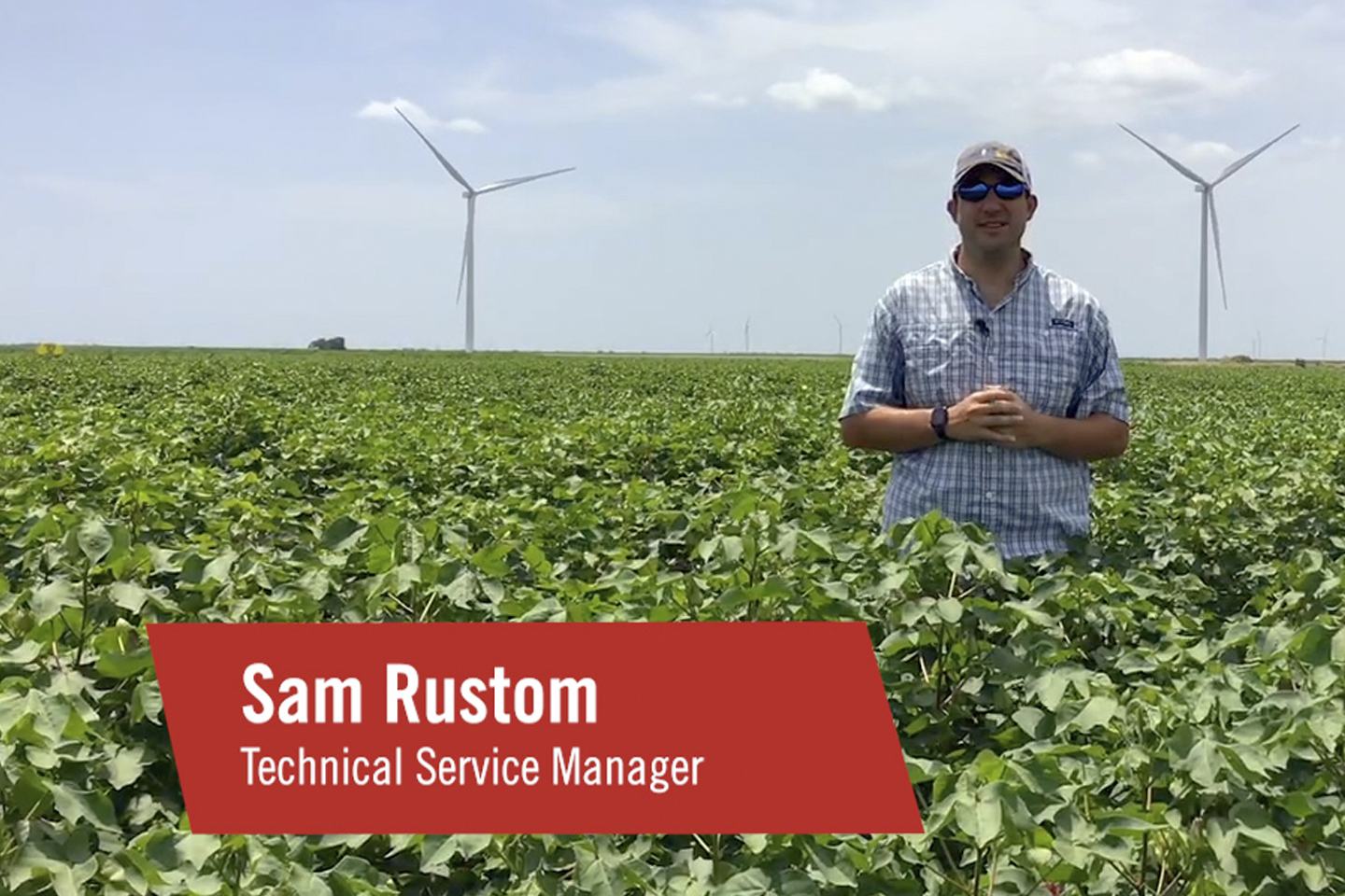 Sam Rustom Cotton Defoliation Tech Talk