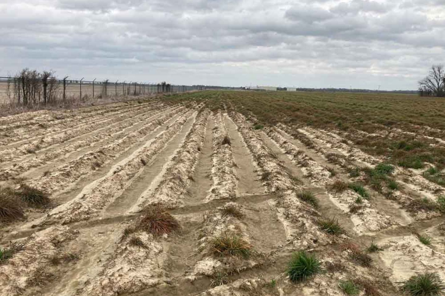 Burndown treatment on a field.