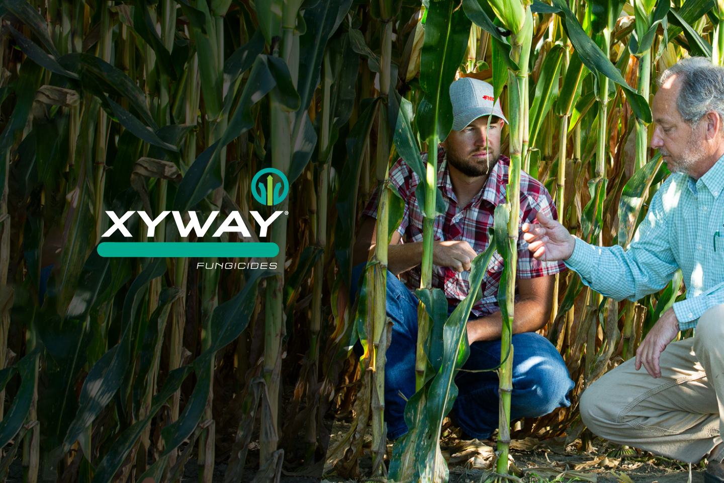 Grower and Retailer In Corn Field