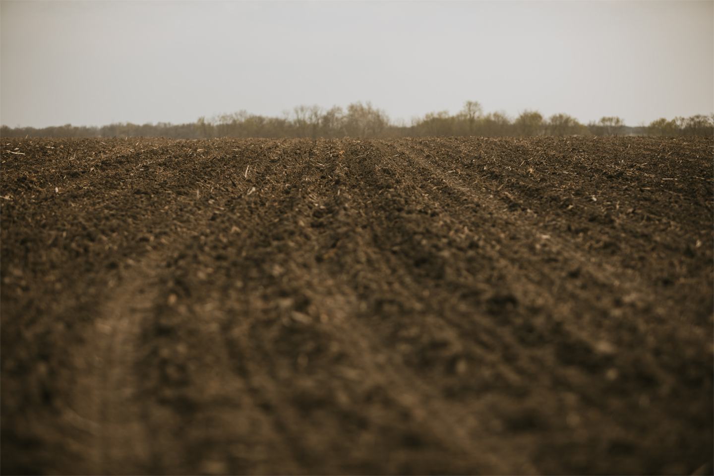 Plowed Field