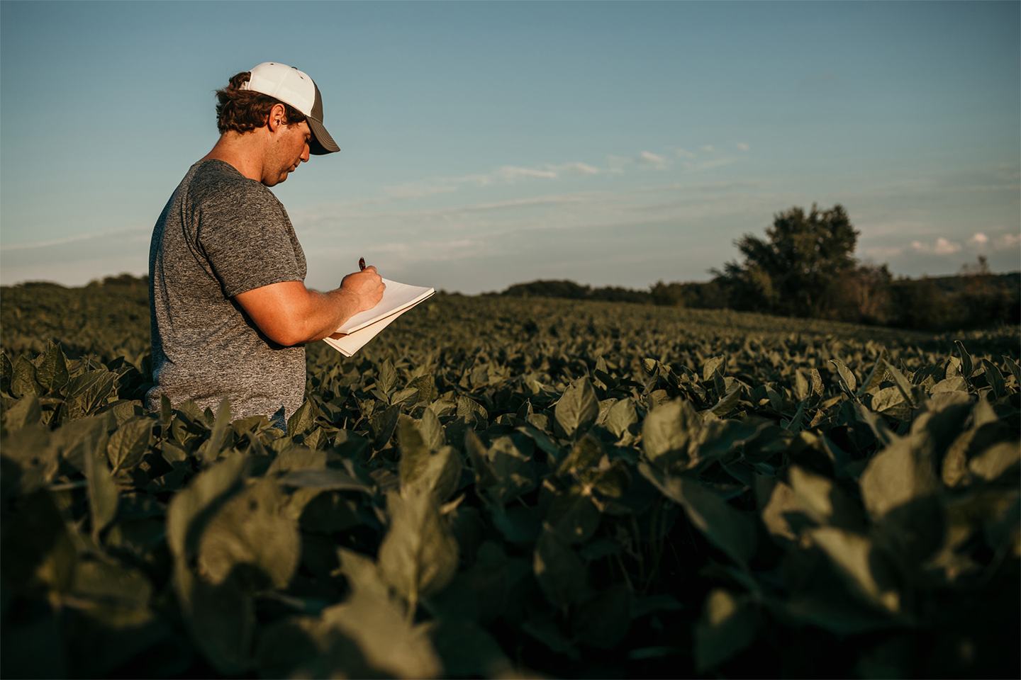 Man with notebook in a field.