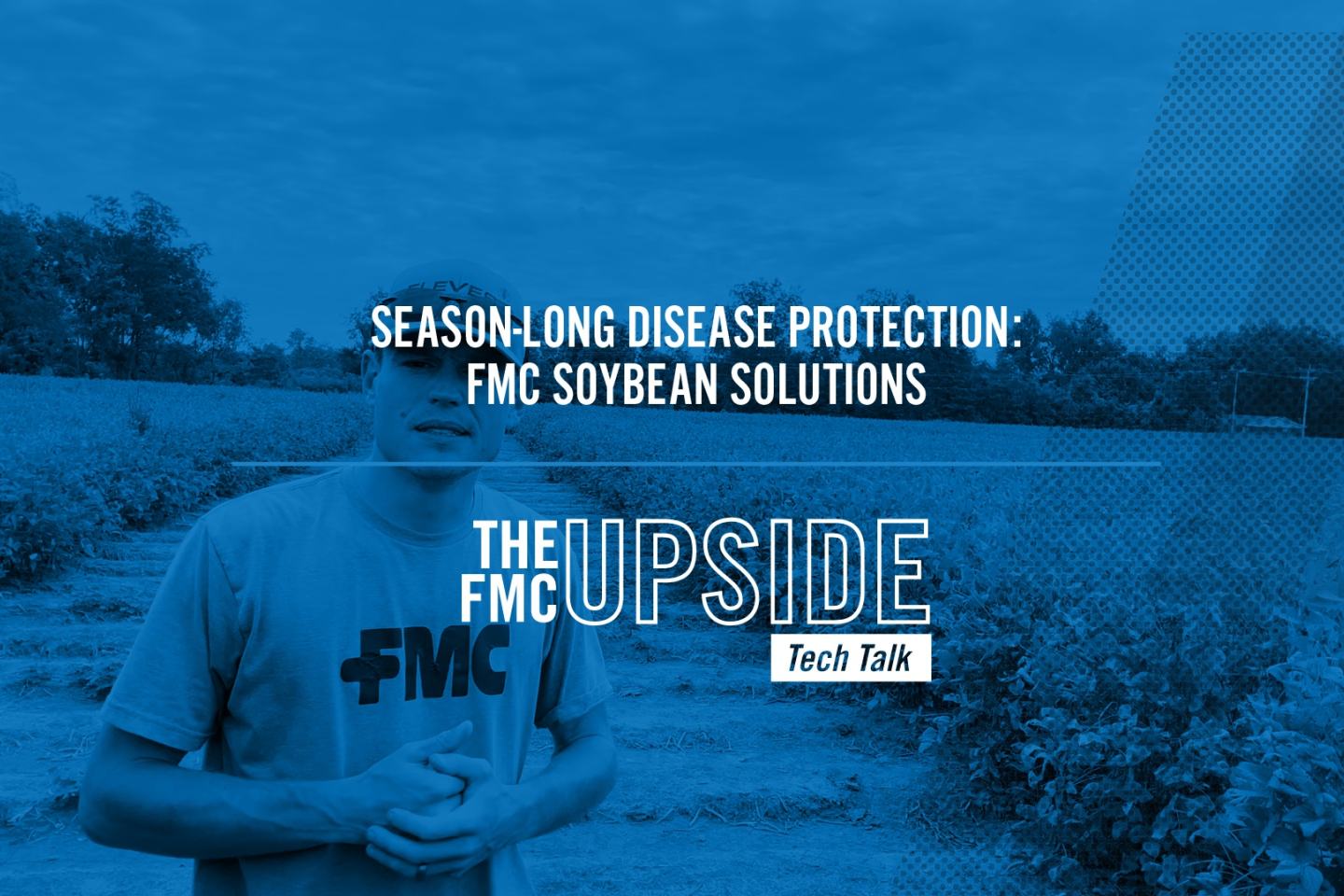 XYWAY® LFR® FUNGICIDE | FMC Ag US