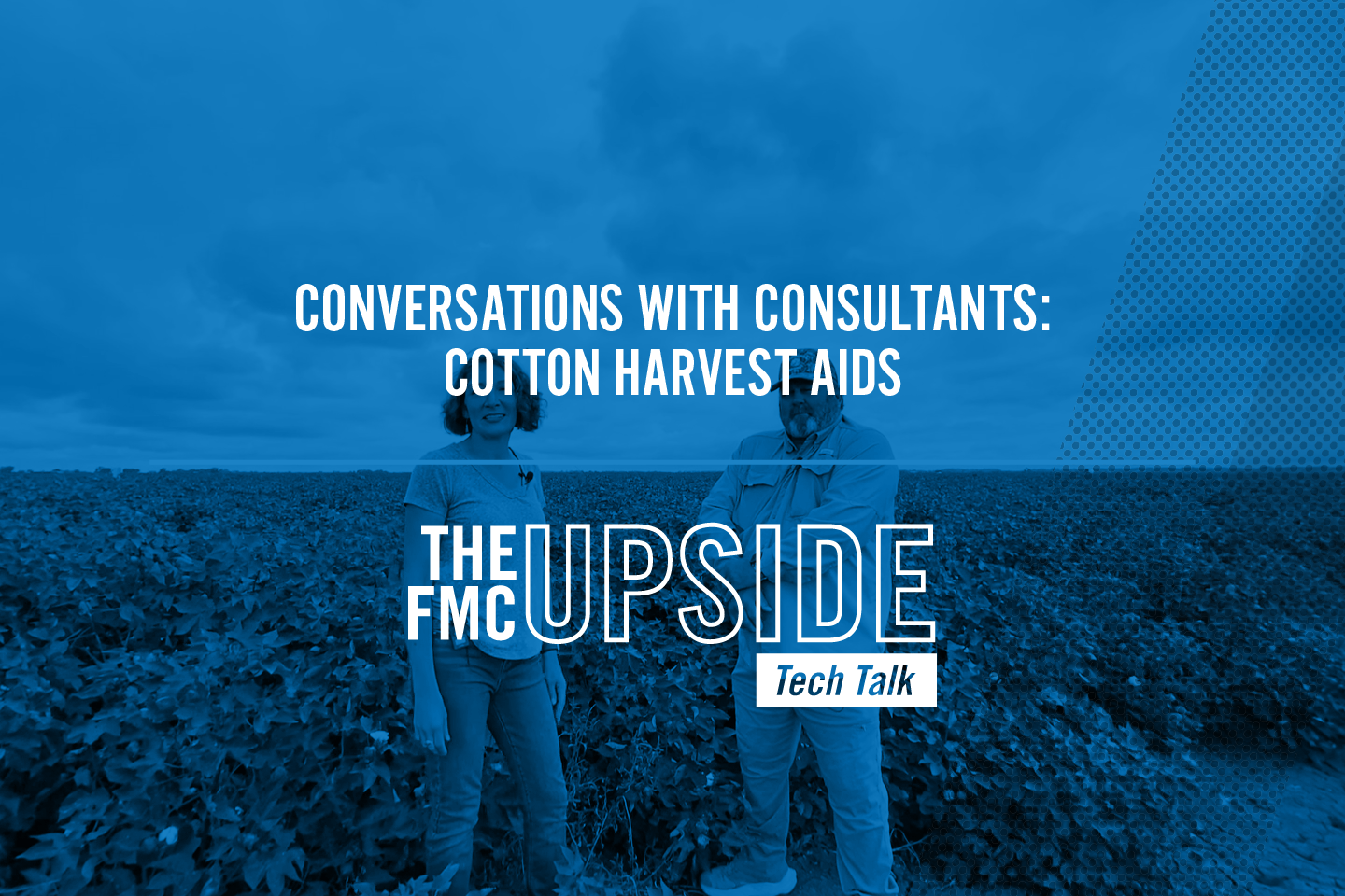 Tech Talk Header Conversations With Consultants: Cotton Harvest Aids