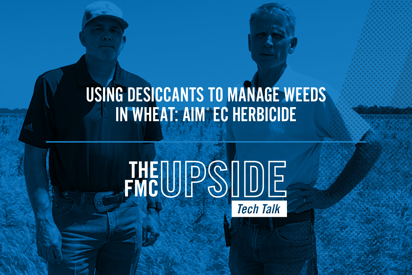 Using Desiccants to Manage Weeds in Wheat: Aim® EC Herbicide Header Bruce Steward and Greg Justice