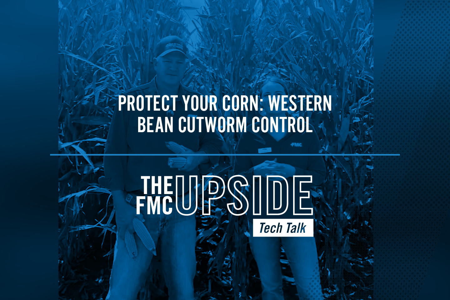 Protect Your Corn: Western Bean Cutworm Control with Lily Ziehmer and Gail Stratman