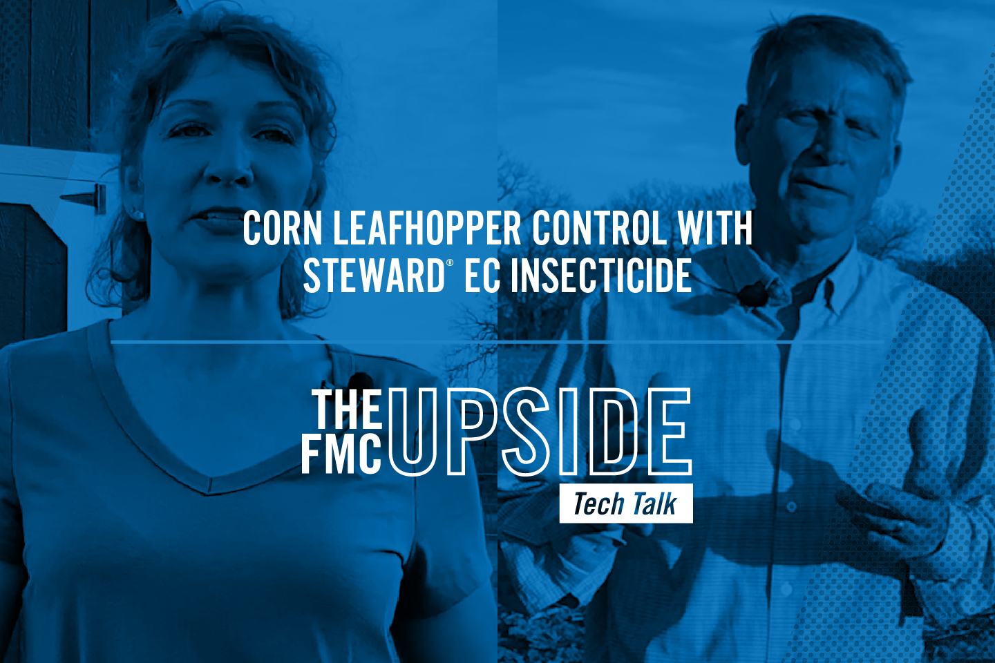 Corn Leafhopper Control with Steward® EC Insecticide with Holly Davis and Bruce Steward