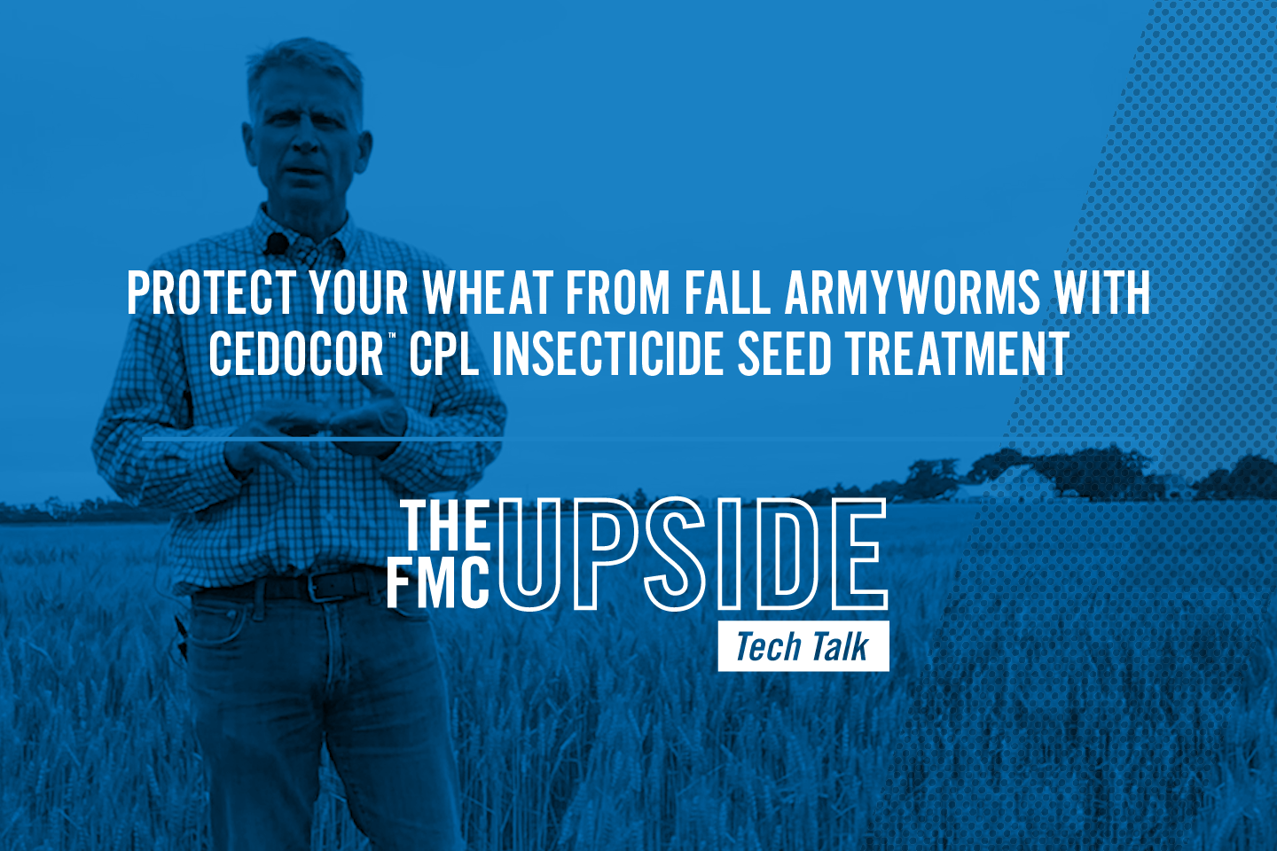 Protect Your Wheat from Fall Armyworms with Cedocor™ CPL Insecticide Seed Treatment with Bruce Steward and Matthew Pye