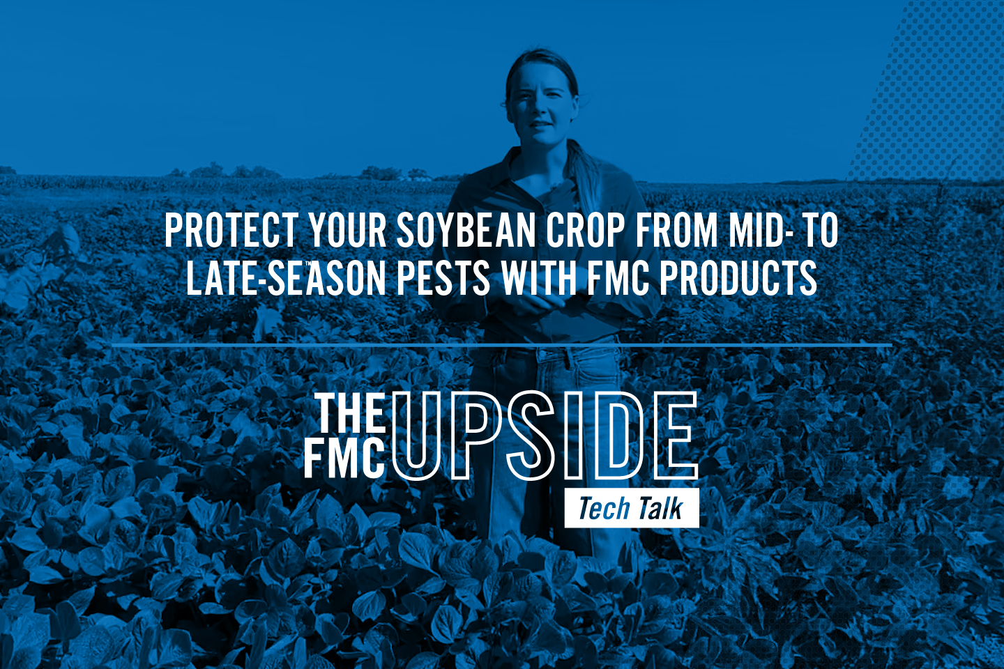 The FMC Upside Tech Talk: Protect Your Soybean Crop From Mid- to Late-Season Pests with FMC Products
