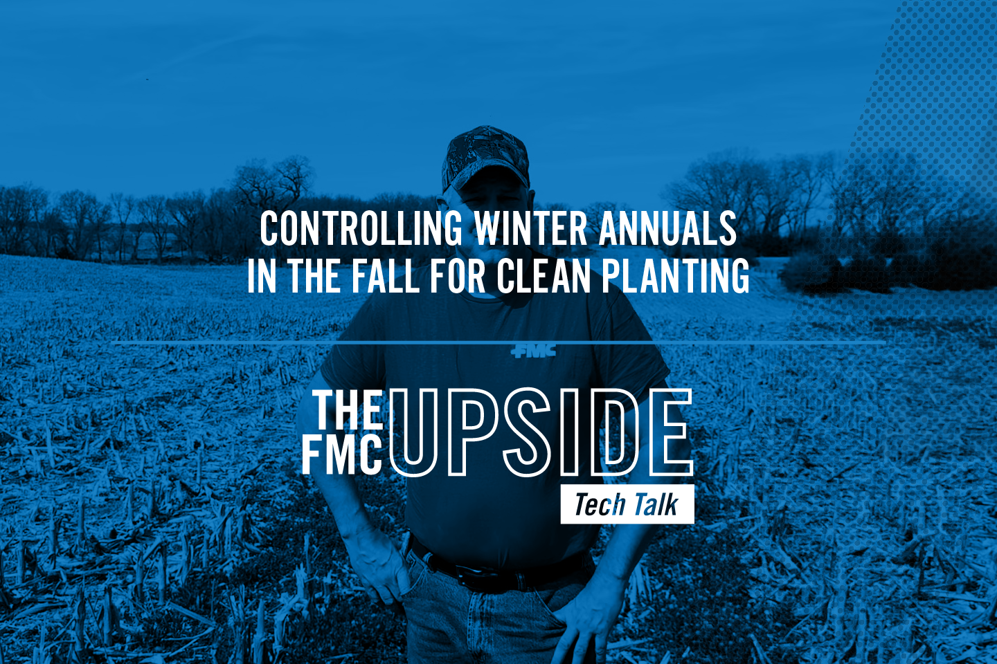 Controlling Winter Annuals in the Fall for Clean Planting