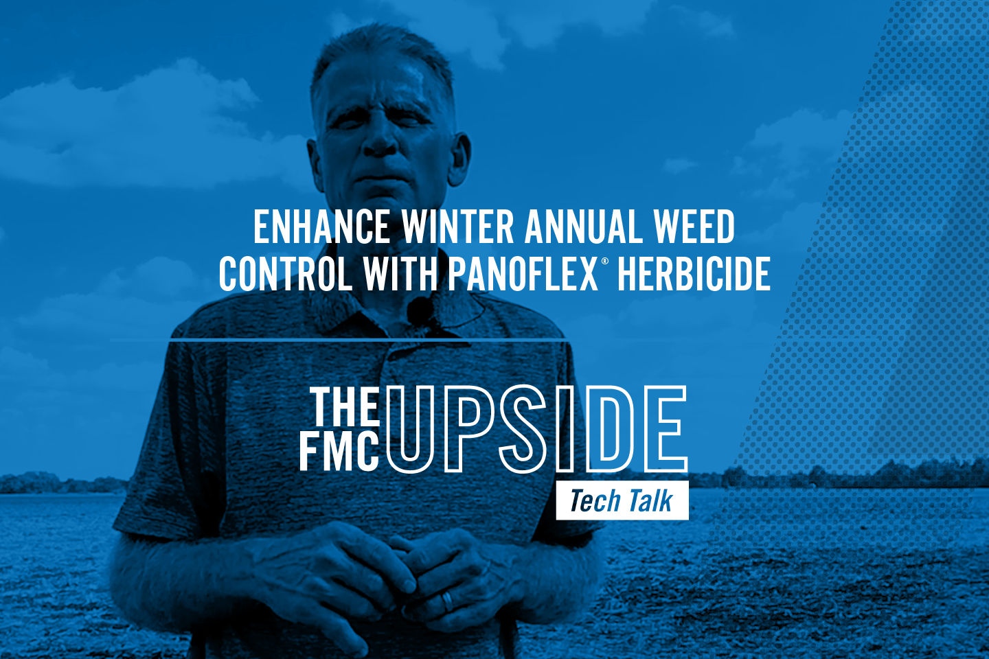 Enhance Winter Annual Weed Control in the Fall with Panoflex Herbicide