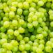 Group of green grapes