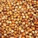 Sorghum (grain and seed)