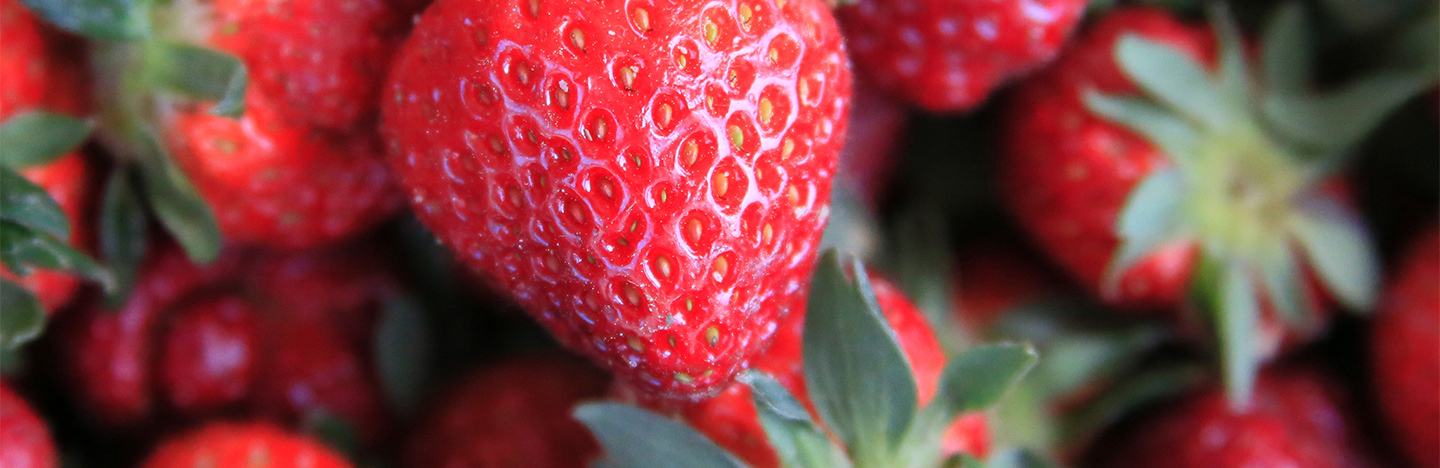 Close up of strawberries