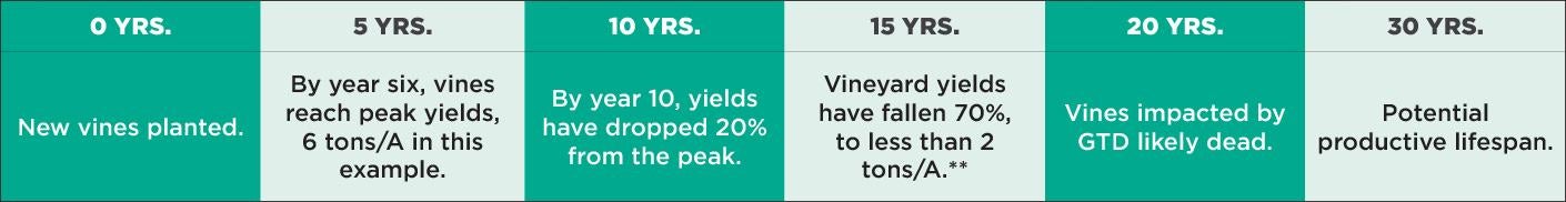 0 years - new vines planted. 5 years - by year six, vines reach peak yields, 6 tons per acre in this example. 10 years - by year 10, yields have dropped 20% from the peak. 15 years - Vineyard yields have fallen 70% to less than 2 tons per acre**. 20 years - vines impacted by GTD likely dead. 30 years - potential productive lifespan.