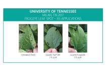 Lucento Fungicide Tennessee Comapairison