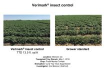 Verimark Insect Control Comparison