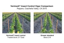 Verimark Insect Control Vigor Comparison