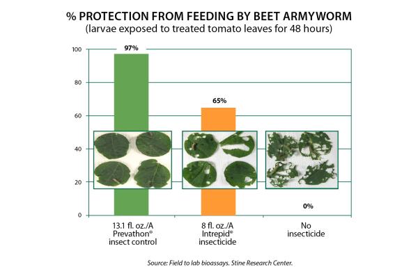 Prevathon Insect Control Armyworm Protection