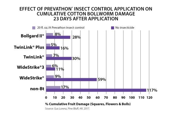 Prevathon Insect Control Cotton Bollworm Damage