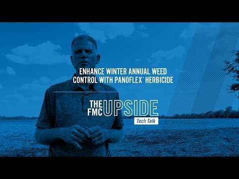 Enhance Winter Annual Weed Control with Panoflex® Herbicide