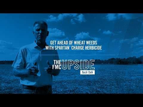 Get Ahead of Wheat Weeds with Spartan® Charge Herbicide