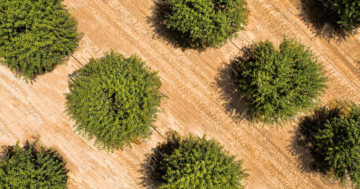 ALTACOR® INSECT CONTROL FMC Ag US