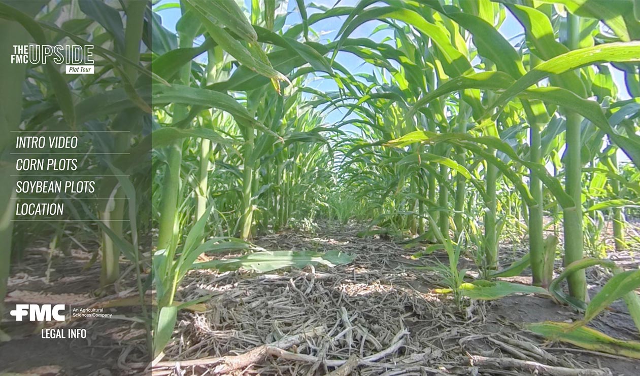Virtual Plot Tour: Corn and Soybean Plot in Clay Center, NE | FMC Ag US