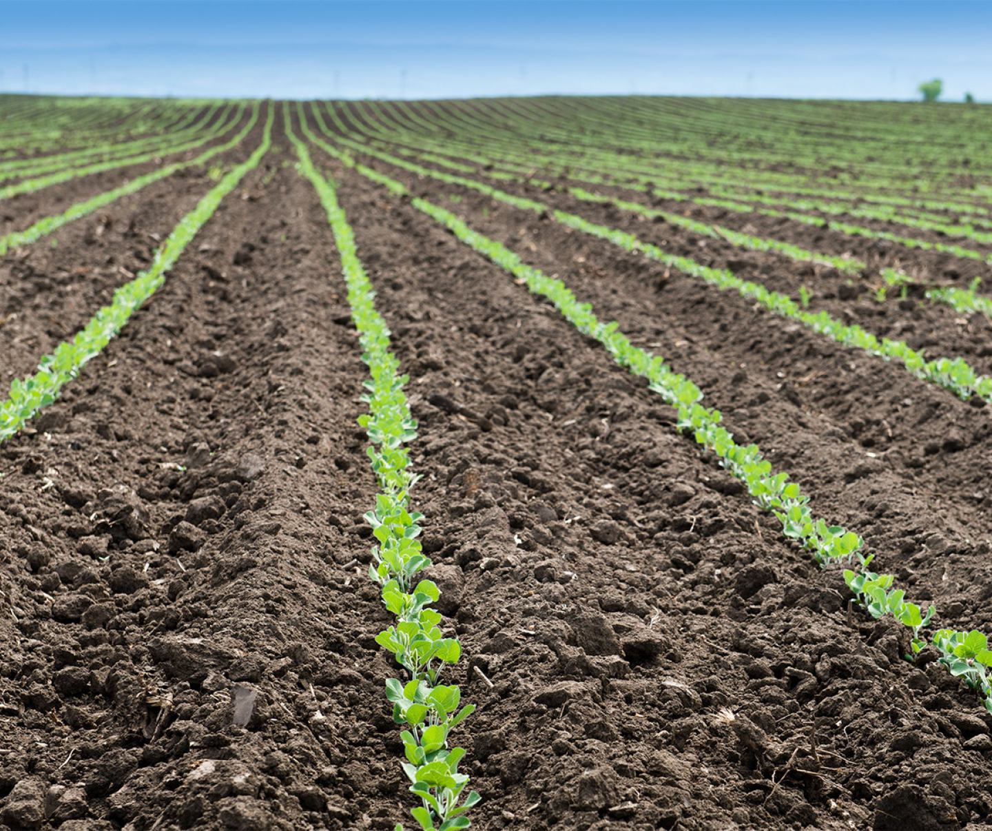 Start Clean, Stay Clean FMC Ag US