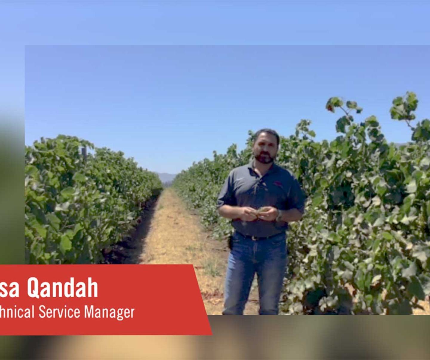 FMC Upside tech talk Grapevine trunk disease